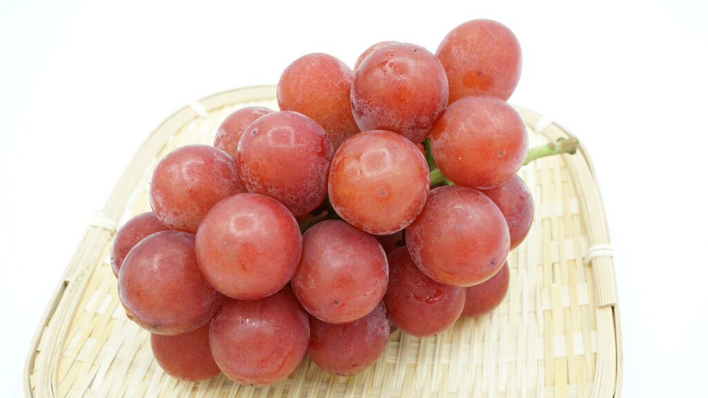 Qu'est-ce qui fait que les raisins les plus chers au monde se vendent des milliers par groupe?