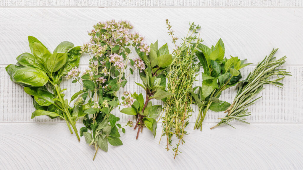 Tarragon vs Fennel: Quelle est la différence?
