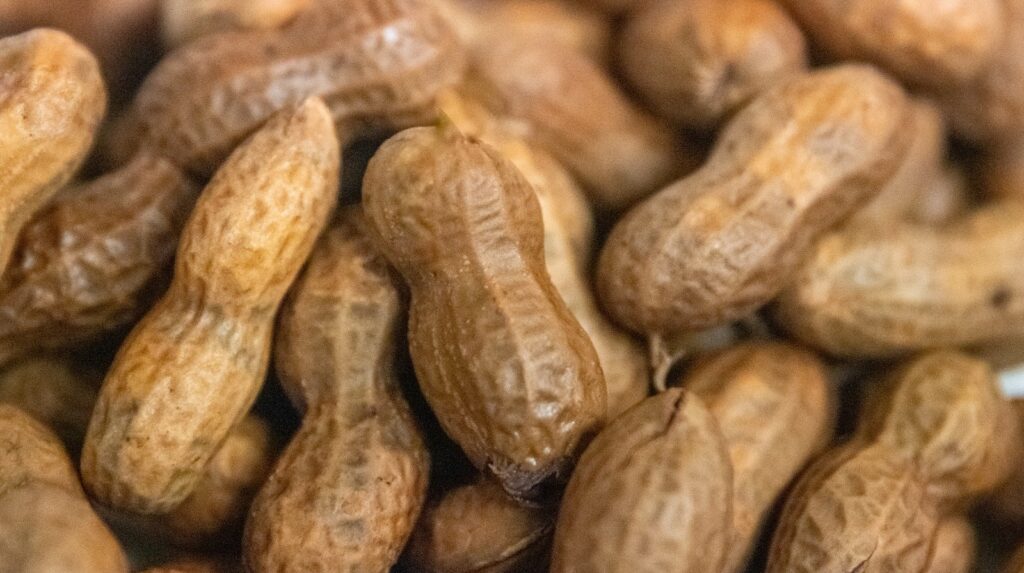 La collation salée de la station-service Salty Southern qui était autrefois un aliment de survie