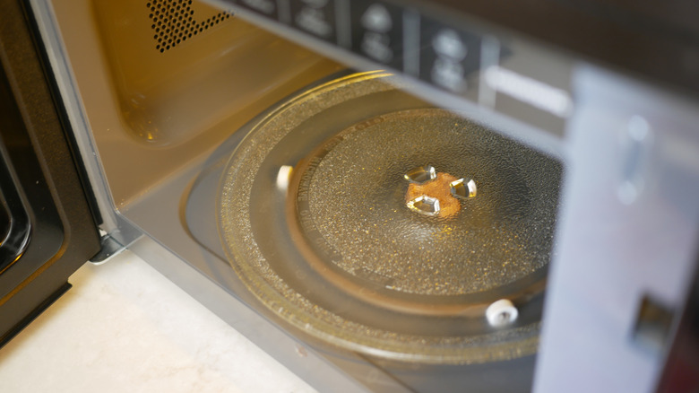 Gros plan des micro-ondes à l'intérieur avec une platine en verre