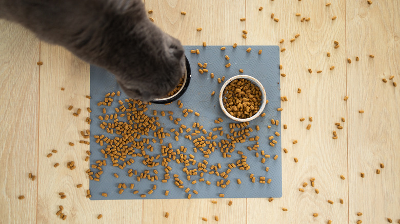 Un chat mangeant d'un bol placé sur un tapis en caoutchouc recouvert de nourriture