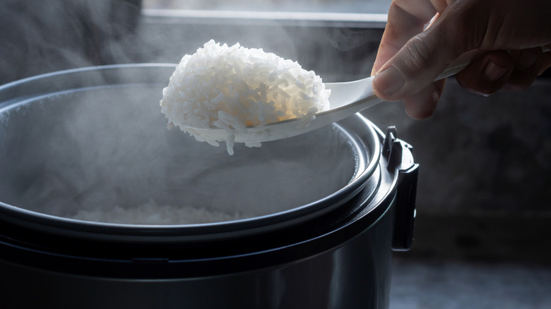 Cuillerée de riz blanc maintenu sur le cuiseur à riz
