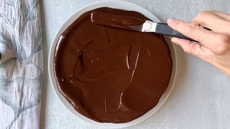 Étalent un glaçage au chocolat sur le gâteau au chocolat de Gianduja italien sans farine avec spatule décalée