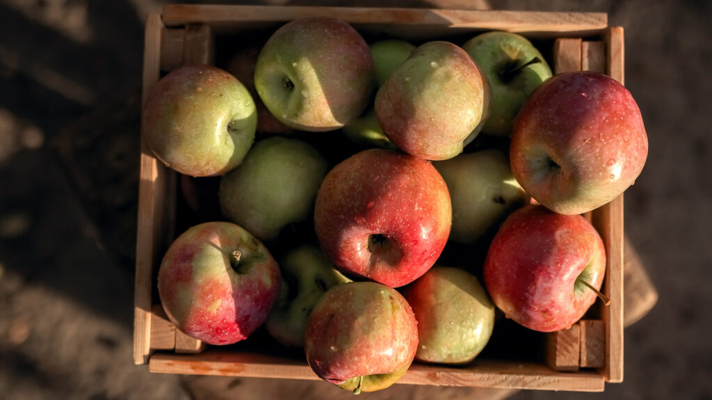 Vous ne savez pas quoi faire de ce sac de pommes restantes? Pickle-les!