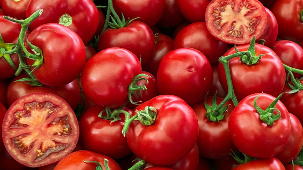 Le festival espagnol sauvage où les gens jettent des tomates par camion