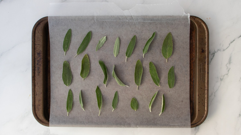 feuilles de sauge sur papier ciré