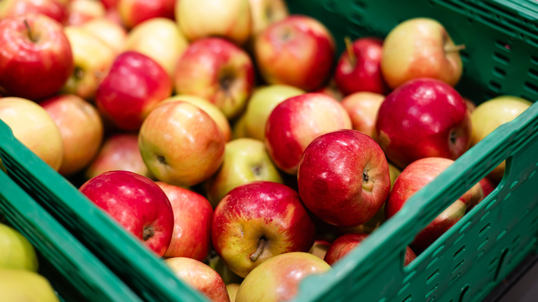 Pommes rouges et jaunes dans un panier vert