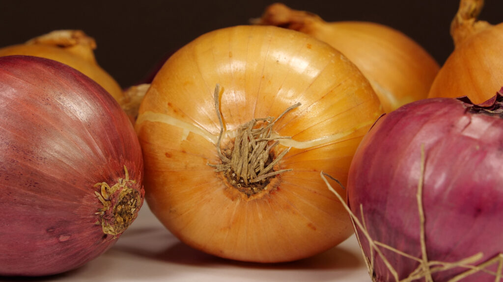 La règle simple pour savoir si vous devez réfrigérer vos oignons