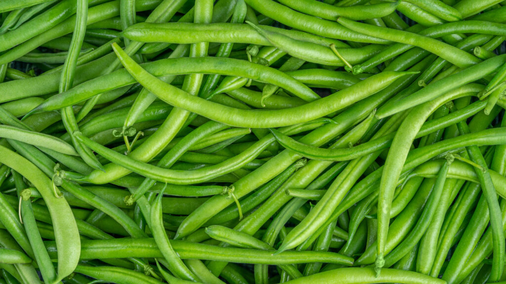 Pouvez-vous manger des haricots verts crus ?