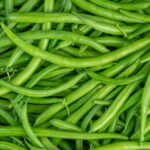Pouvez-vous manger des haricots verts crus ?