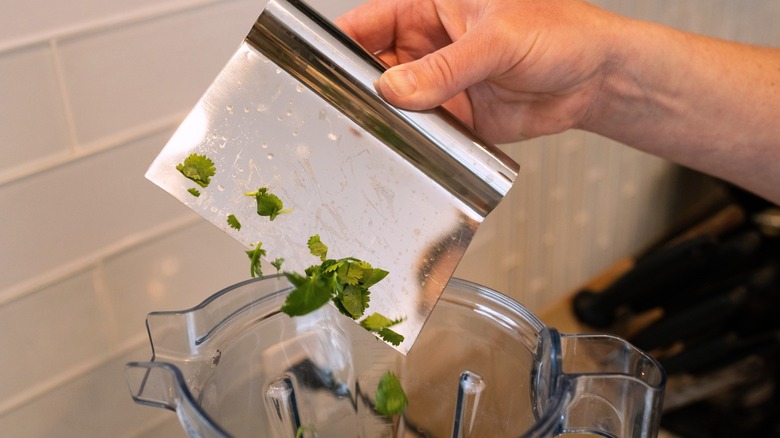 Gros plan d'une main tenant un grattoir en acier inoxydable avec des herbes sur un mélangeur