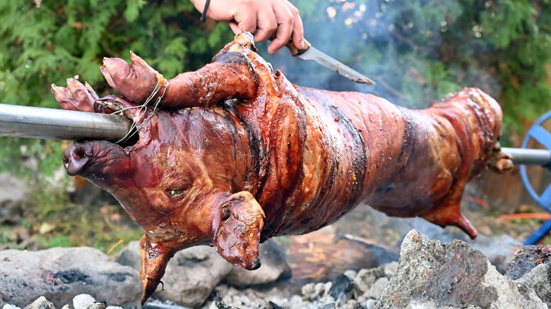 porc entier traditionnel sur un rôti à la broche