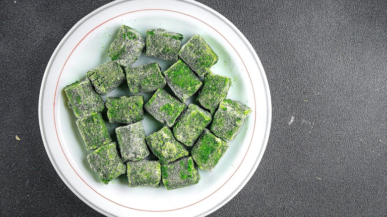 Cubes d'épinards surgelés sur une assiette blanche sur fond gris