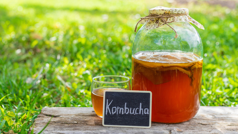 kombucha fermenté dans un bocal en verre à l'extérieur