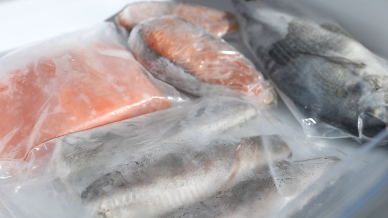 Différents types de poissons dans un congélateur emballés dans un emballage transparent séparé