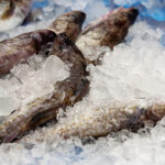 Les fruits de mer « frais » dans les restaurants peuvent en fait être congelés : ce qu'il faut savoir