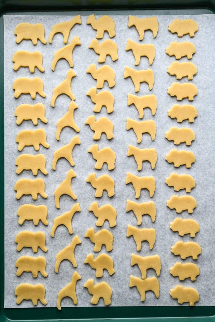 Vue aérienne des biscuits animaux avant la cuisson.