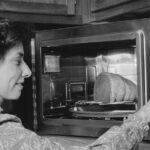 La marque de repas au micro-ondes des années 1980 qui a disparu trop tôt