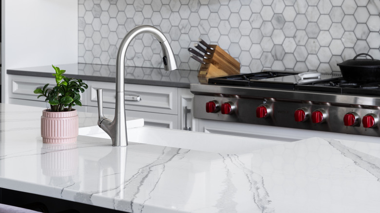 Un comptoir de quartz avec un évier de cuisine et un pot de fleur à côté.