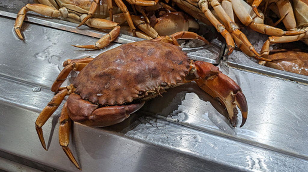 Comment manger du crabe cru en toute sécurité sans risquer une intoxication alimentaire
