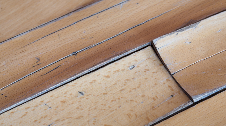 Parquet endommagé par l'exposition à l'eau.