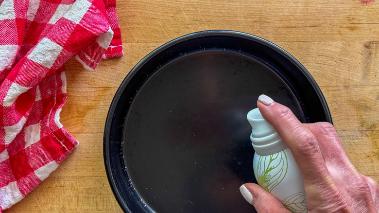 bac de pulvérisation manuel