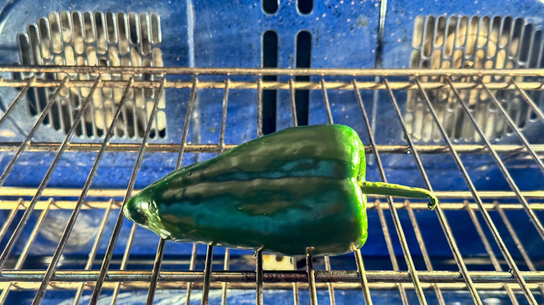 poblano sur la grille du four