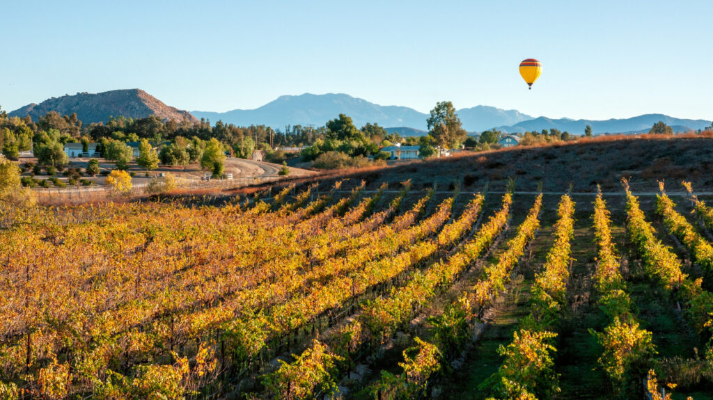 6 vins californiens emblématiques que vous devez essayer au moins une fois