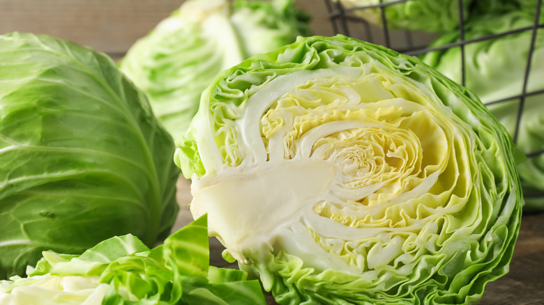 têtes de chou vert coupées en deux