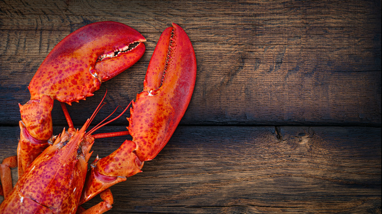 Un homard cuit à la vapeur avec de grosses pinces