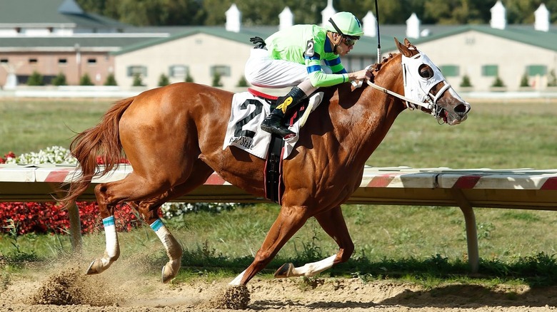 Un cheval et un jockey au Thistledown Race Track