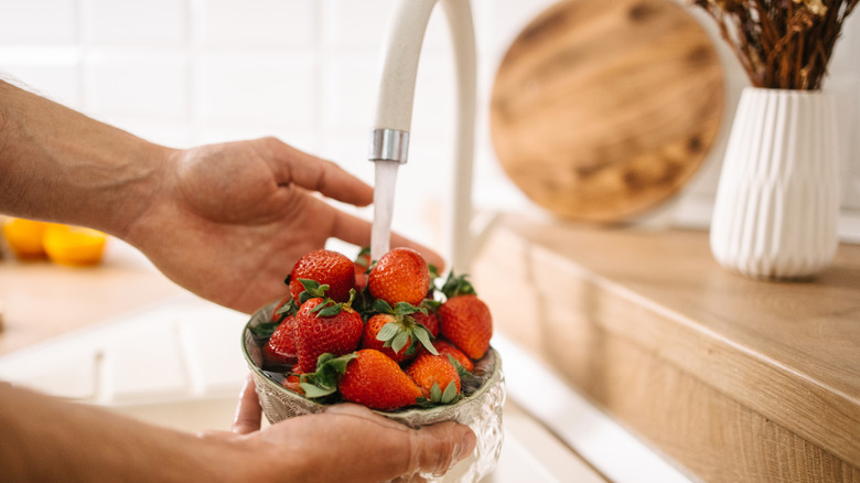 Une personne lavant un bol de fraises sous l’eau courante