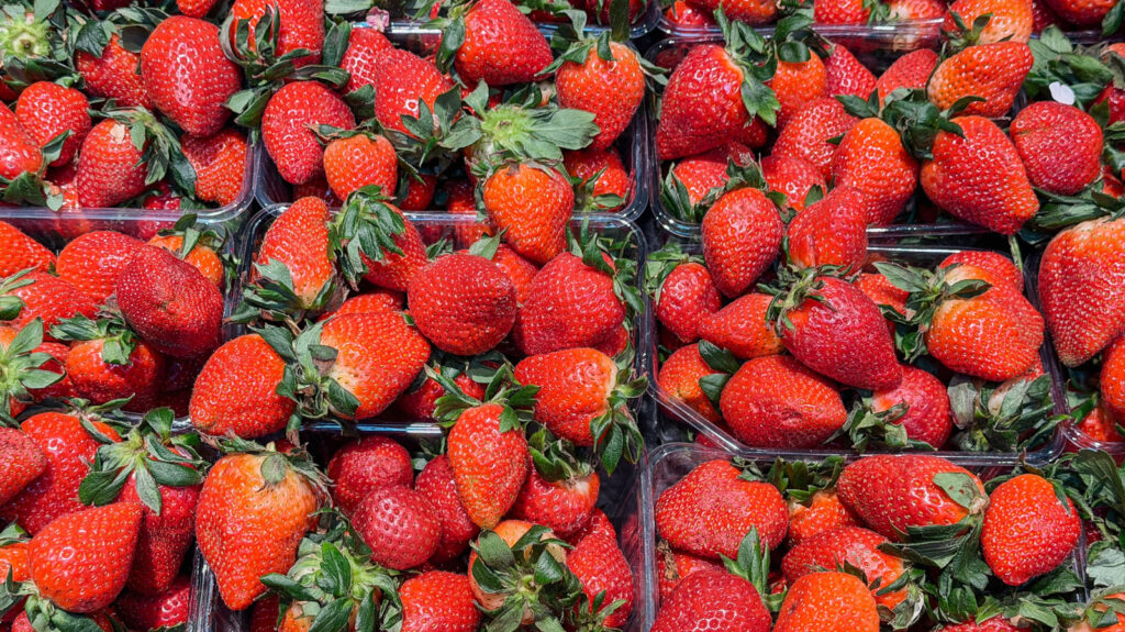 Pourquoi les fraises semblent-elles moisir plus rapidement que les autres fruits ?