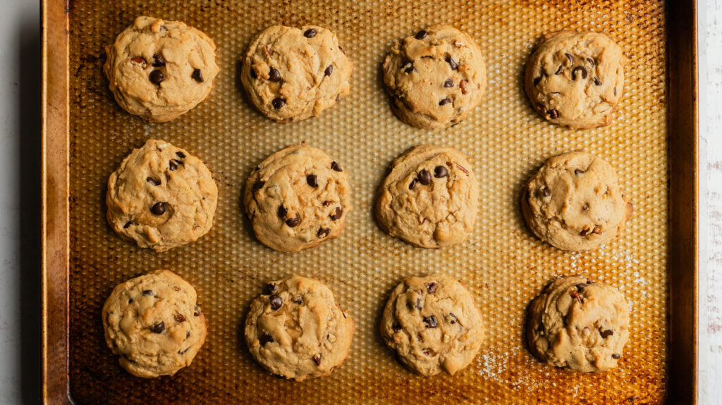 Quelle est la durée de vie moyenne des plaques à pâtisserie ?