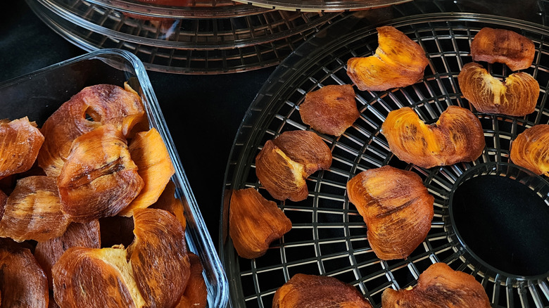 Barquettes de nourriture déshydratée