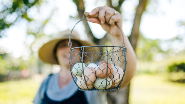 Des œufs bleus, bruns et blancs dans un panier métallique tenus par une femme en arrière-plan portant un chapeau de fermier.