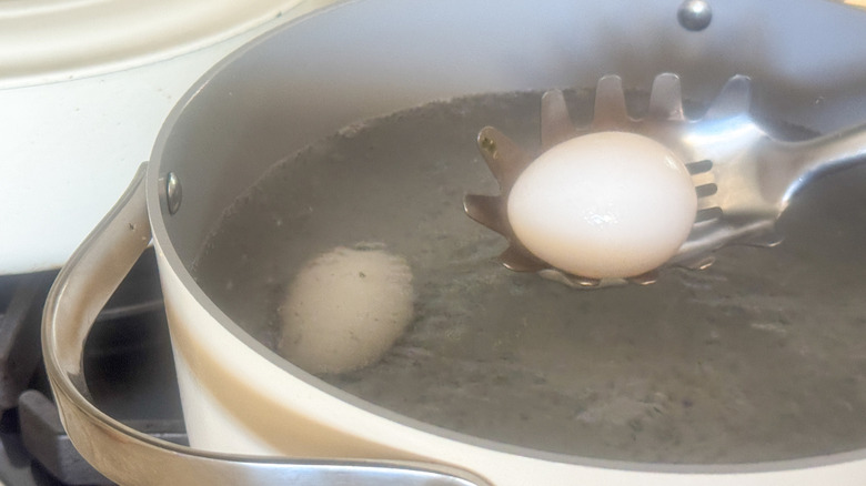 cuillère à trous plaçant l'œuf dans l'eau bouillante
