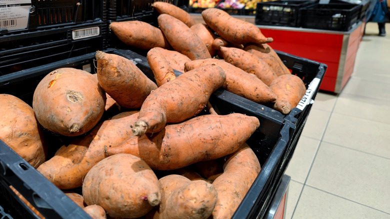 Patates douces dans une boîte en plastique dans un supermarché.