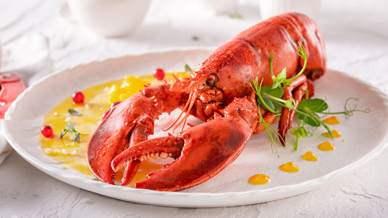 Homard à l'assiette, sauce et herbes