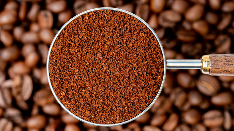 Marc de café dans un porte-filtre, avec des grains entiers en arrière-plan