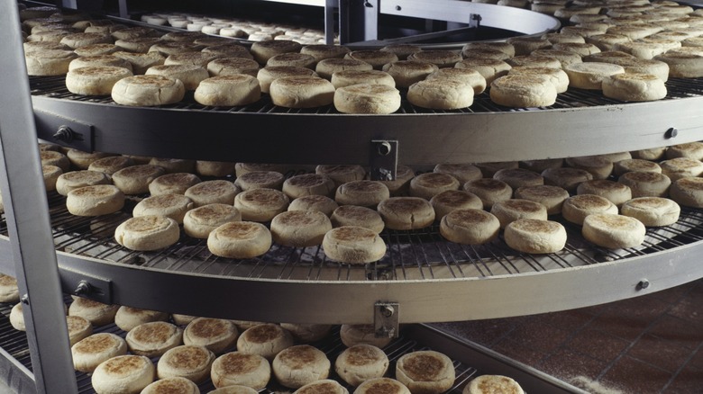 Des muffins anglais circulent sur un tapis roulant dans une boulangerie industrielle.