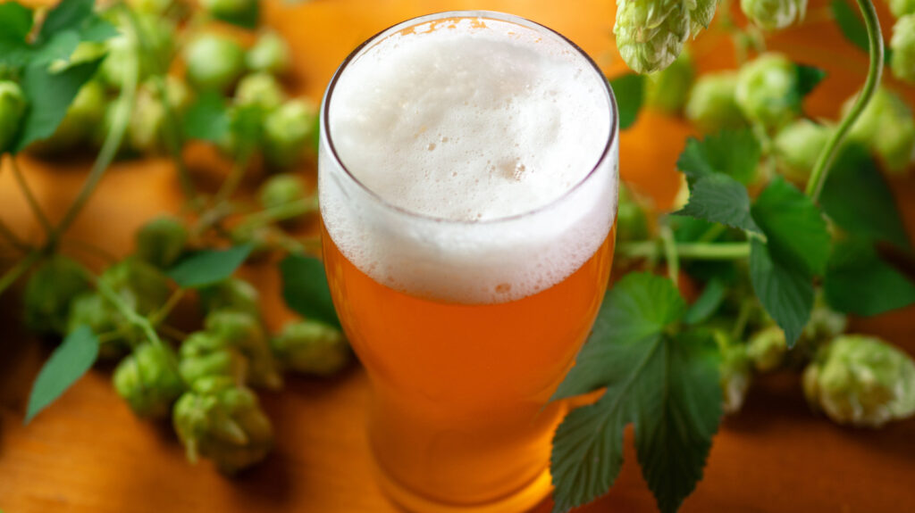 Les IPA sont 10 fois plus savoureuses lorsqu'elles sont associées à cet agrumes (pas de citron ou de citron vert)
