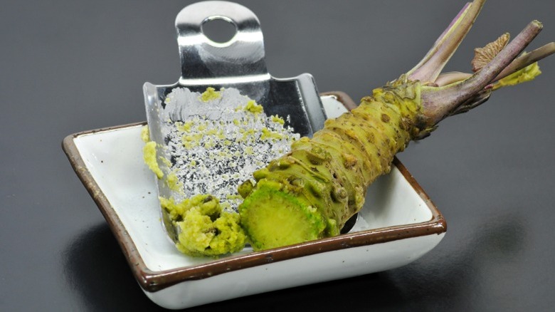 Wasabi fraîchement râpé avec la racine d'une plante de wasabi sur une petite assiette carrée blanche.