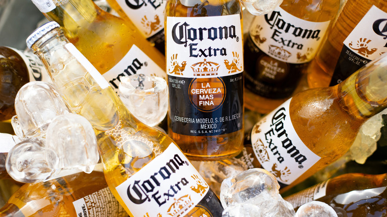 Bouteilles de bière Corona dans un seau à glace.