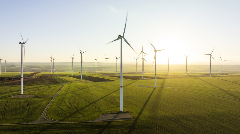 Vue aérienne des éoliennes.