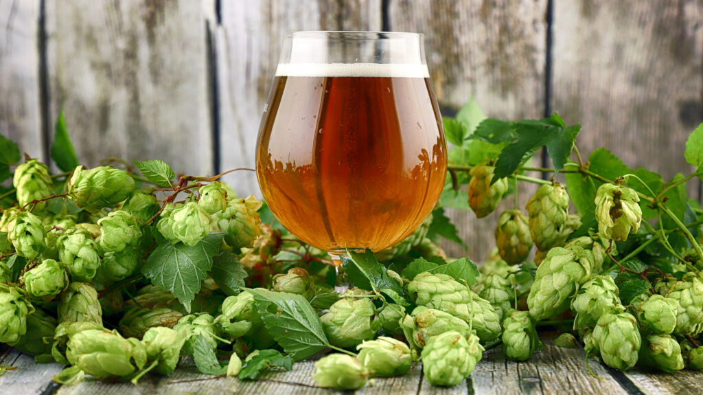 IPA de la côte ouest et IPA de la côte est : quelle est la différence ?