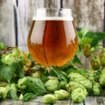 IPA de la côte ouest et IPA de la côte est : quelle est la différence ?