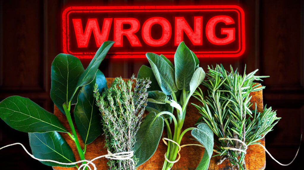 Vous faites tout faux : comment conserver correctement les herbes fraîches