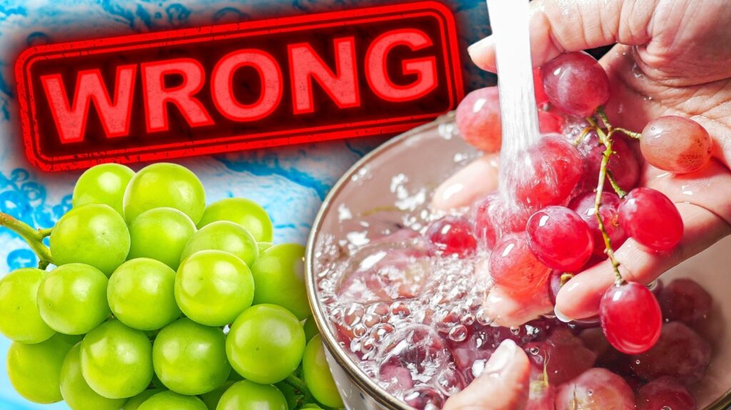 Vous faites tout faux : comment nettoyer et conserver vos raisins